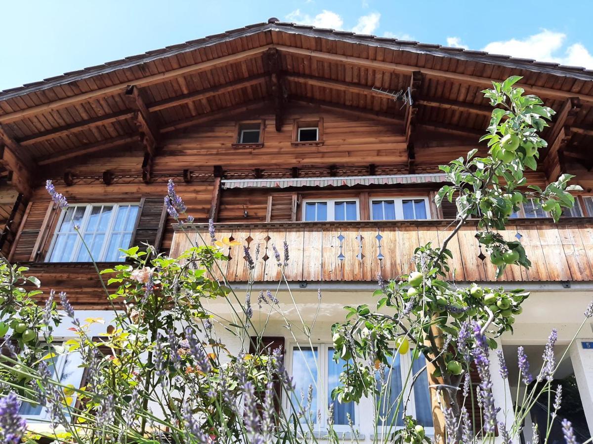 Cozy Chalet By Interlaken. Parking Apartamento Ringgenberg Exterior foto